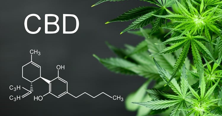 CBD Oil For 
      Pain Annapolis 
      CA